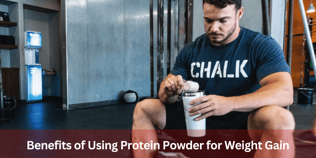 Beginner's Guide to Protein Powder for Weight Gain 