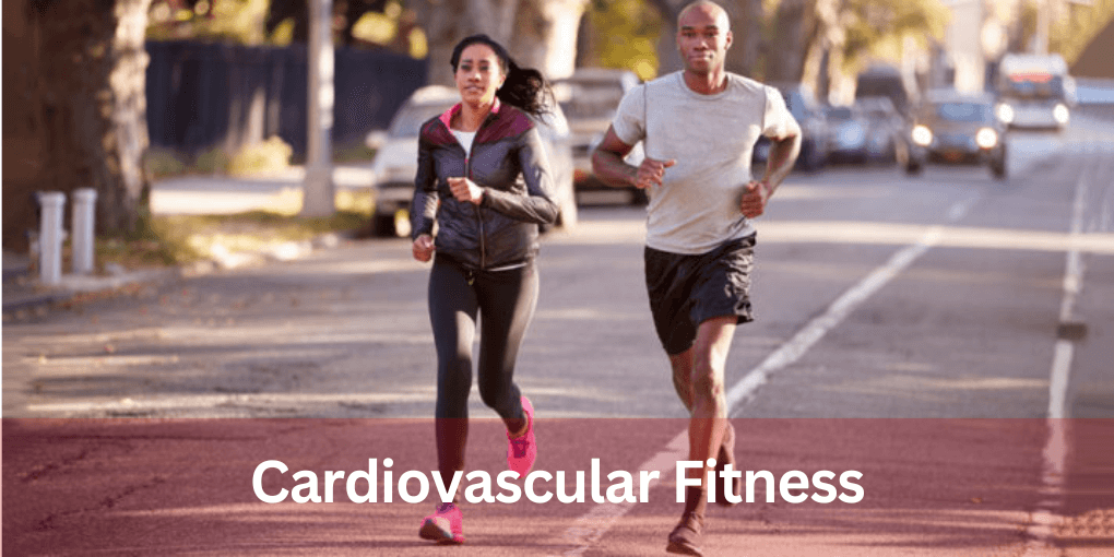 Cardiovascular Fitness 