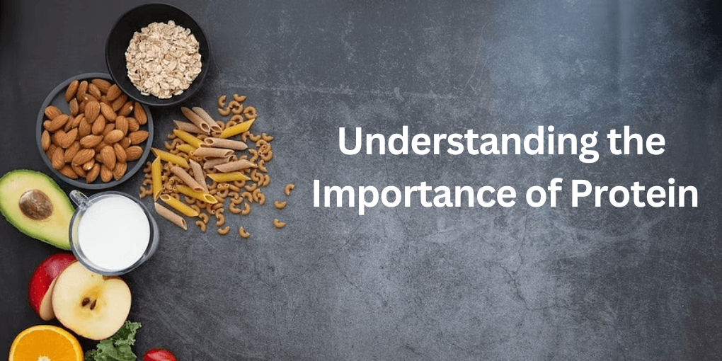 Understanding the importance of protein