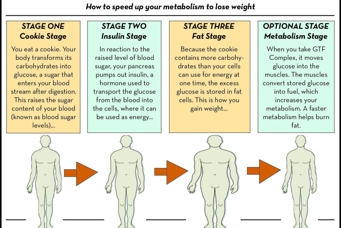 What is the Difference between Weight Loss And Weight Management