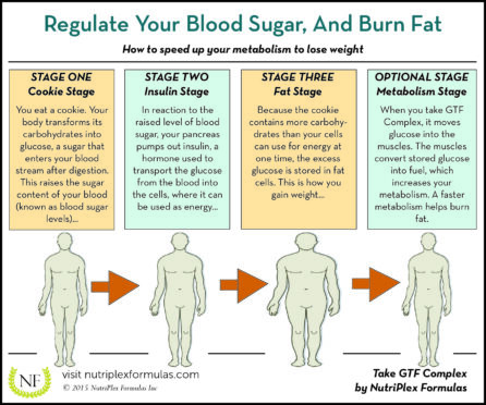 What is the Difference between Weight Loss And Weight Management